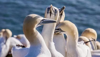 中国U22男足今晚小组首战